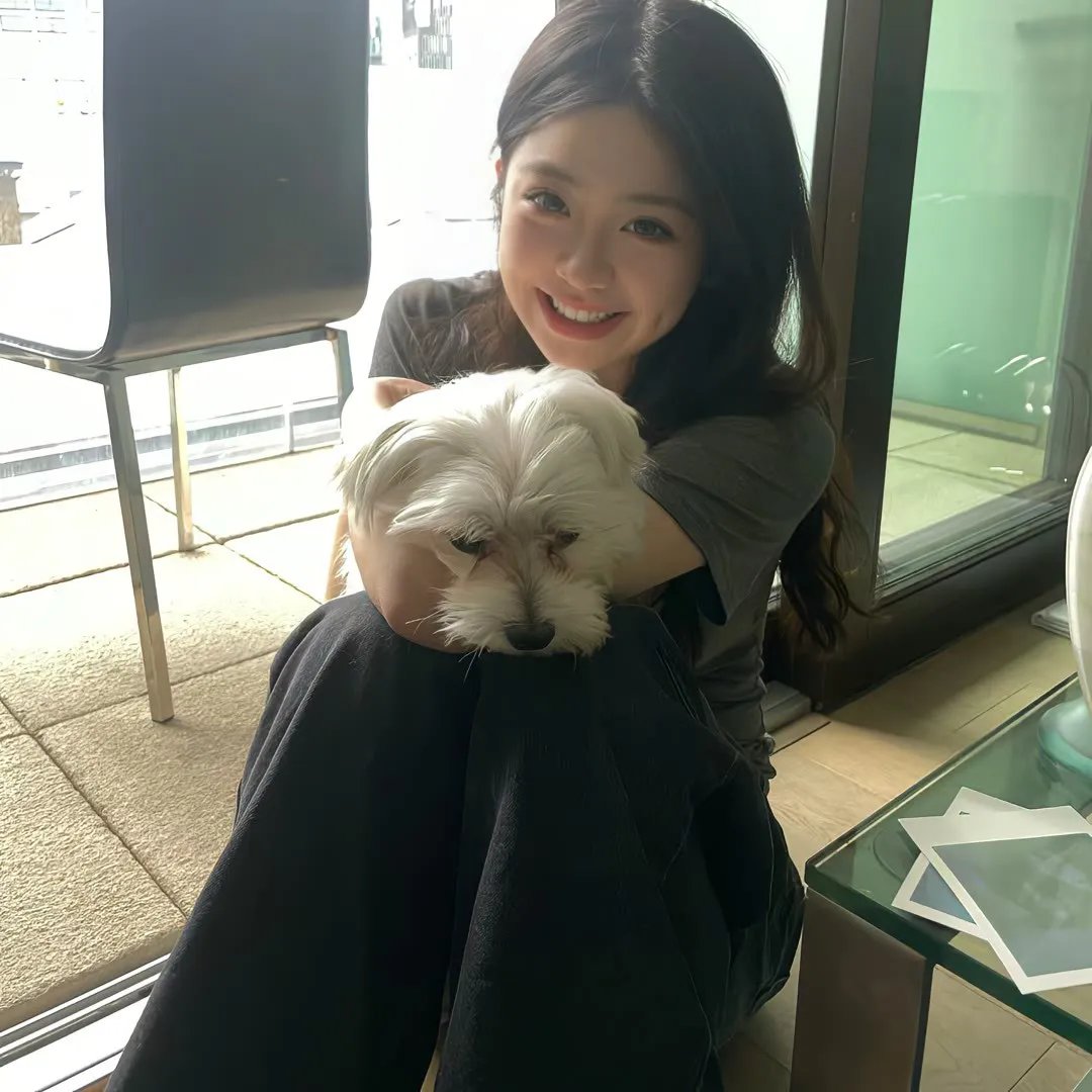 猛于炮火 封面