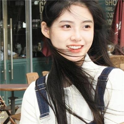 小犬与女孩 封面